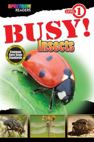 Title: BUSY! Insects: Level 1, Author: Lisa Kurkov