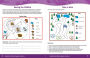 Alternative view 5 of The Complete Book of Maps & Geography, Grades 3 - 6