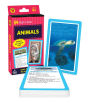 Animals Flash Cards: 54 Flash Cards