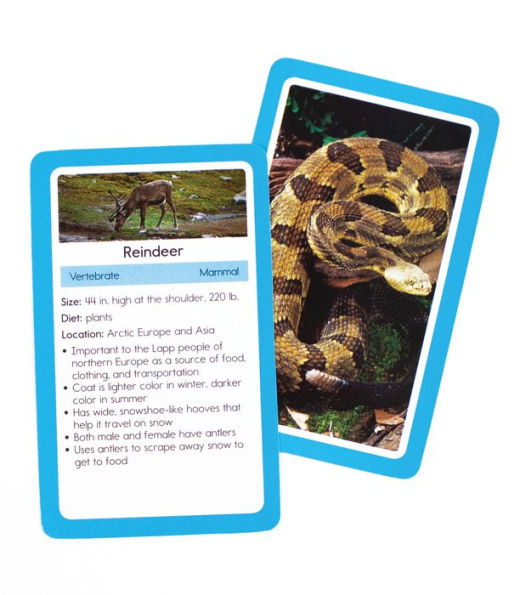 Animals Flash Cards: 54 Flash Cards