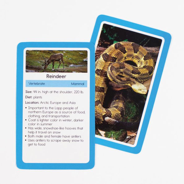 Animals Flash Cards: 54 Flash Cards