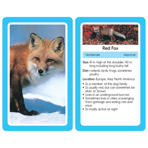 Animals Flash Cards: 54 Flash Cards