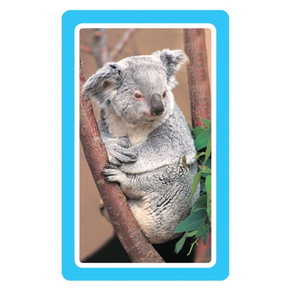 Animals Flash Cards: 54 Flash Cards