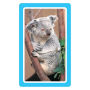 Alternative view 8 of Animals Flash Cards: 54 Flash Cards