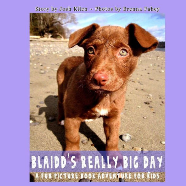 Blaidd's Really Big Day: A Fun Picture Book Adventure