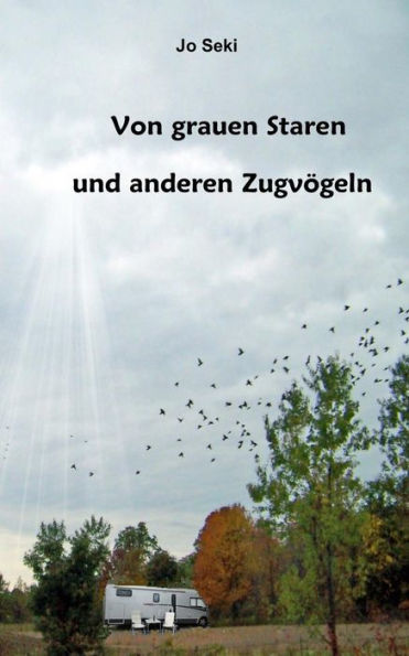 Von grauen Staren und anderen Zugvögeln