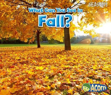 What Can You See Fall?