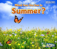 Title: What Can You See in Summer?, Author: Sian Smith