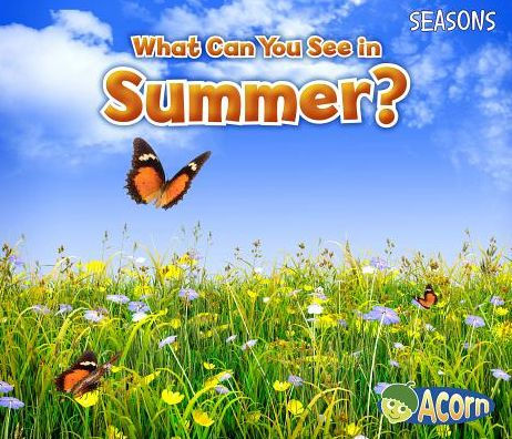 What Can You See in Summer?