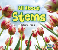 All About Stems