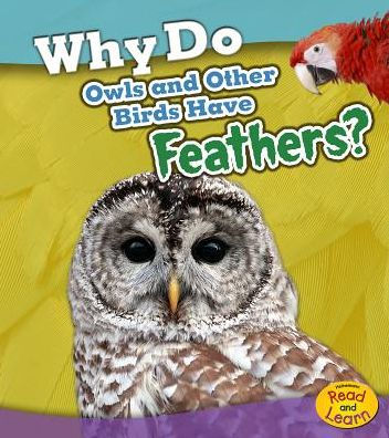 Why Do Owls and Other Birds Have Feathers?