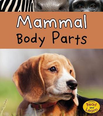 Mammal Body Parts