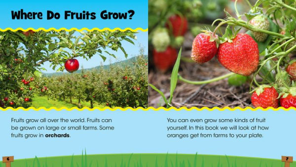 Where Does Fruit Come From?