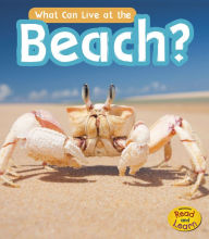 Title: What Can Live at the Beach?, Author: John-Paul Wilkins