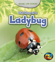 Title: Life Story of a Ladybug, Author: Charlotte Guillain
