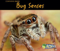 Title: Bug Senses, Author: Charlotte Guillain