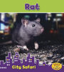 Rat: City Safari