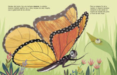 Alternative view 2 of Mi vida como mariposa monarca