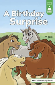 Title: A Birthday Surprise, Author: Leanna Koch