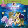 Palace Pets: Bayou Keeps the Beat: A Princess Adventure Story