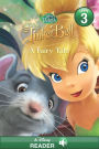 Disney Fairies: Tinker Bell: A Fairy Tale