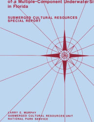 Title: 8sl17: Natural Site-Formation Processes of a Multiple-Component Underwater Site in Florida, Author: Linda Scott Cummings