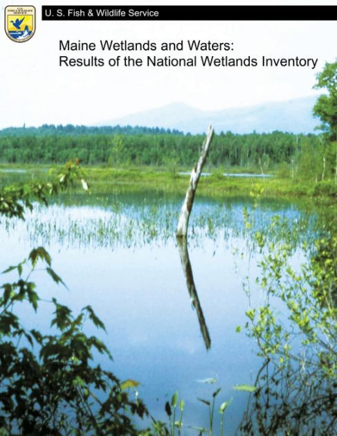 Maine Wetlands and Waters: Results of the National Wetlands Inventory ...