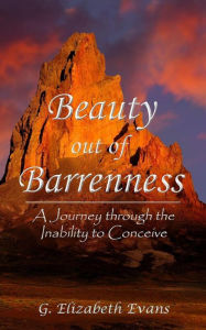 Title: Beauty out of Barrenness: A Journey through the Inability to Conceive, Author: G Elizabeth Evans