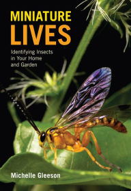 Title: Miniature Lives: Identifying Insects in Your Home and Garden, Author: Colleen Codekas