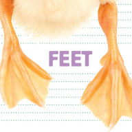 Title: Feet, Author: Flowerpot Press