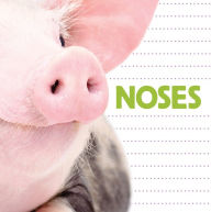 Title: Noses, Author: Flowerpot Press