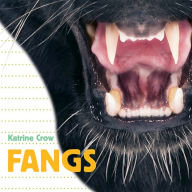 Title: Whose Is It? Fangs, Author: Katrine Crow