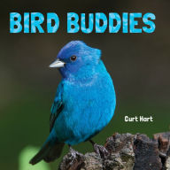 Title: Bird Buddies, Author: Curt Hart