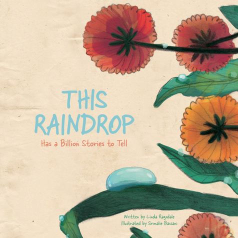 This Raindrop: Has a Billion Stories to Tell