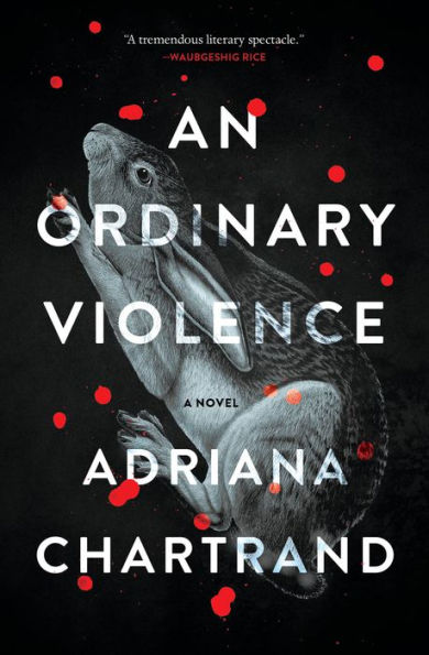 An Ordinary Violence: A Novel