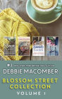 Blossom Street Collection Volume 1: The Shop on Blossom Street\A Good Yarn\Susannah's Garden\Back on Blossom Street