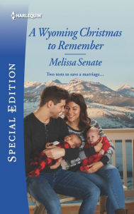 Title: A Wyoming Christmas to Remember: A Winter Romance, Author: Melissa Senate