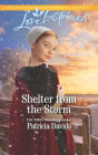 Shelter from the Storm: A Fresh-Start Family Romance
