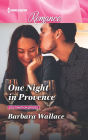 One Night in Provence: Get swept away with this sparkling summer romance!