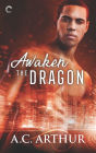Awaken the Dragon: An Afrofuturist Paranormal Romance