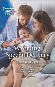 Title: Wyoming Special Delivery, Author: Melissa Senate