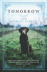 Title: Tomorrow: A Novel, Author: Damian Dibben