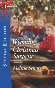 Title: Wyoming Christmas Surprise, Author: Melissa Senate