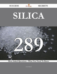 Title: Silica 289 Success Secrets - 289 Most Asked Questions On Silica - What You Need To Know, Author: Ann Hood