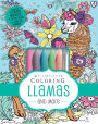 Kaleidoscope Pastel Coloring Kit: Llamas and More