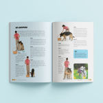 Alternative view 12 of Dog Tricks and Training