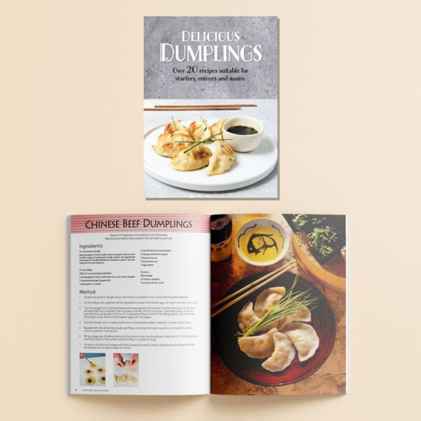 Delicious Dumplings Kit by Hinkler, Hardcover