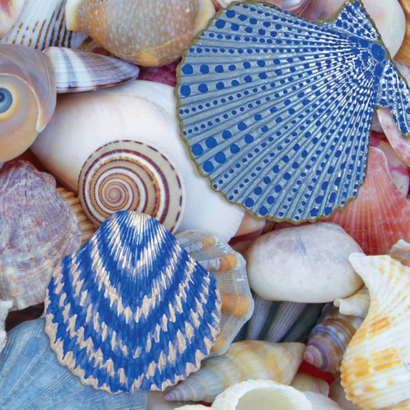 Paint Your Own Seashells Pacific Dreams