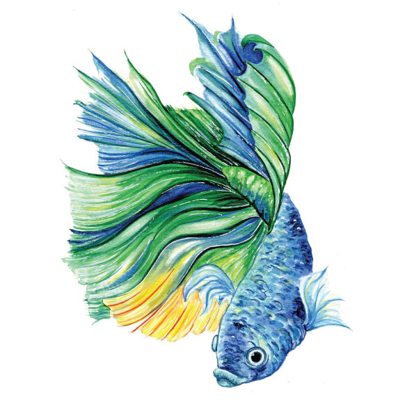 Art Maker Paint by Number Wooden Arch Celestial Dreaming