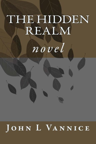 The Hidden Realm: novel